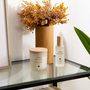 Voir la diapositive 2 : ATMOSPHERA Spray d'Ambiance en Verre  Sana  100ml Terre de Lune