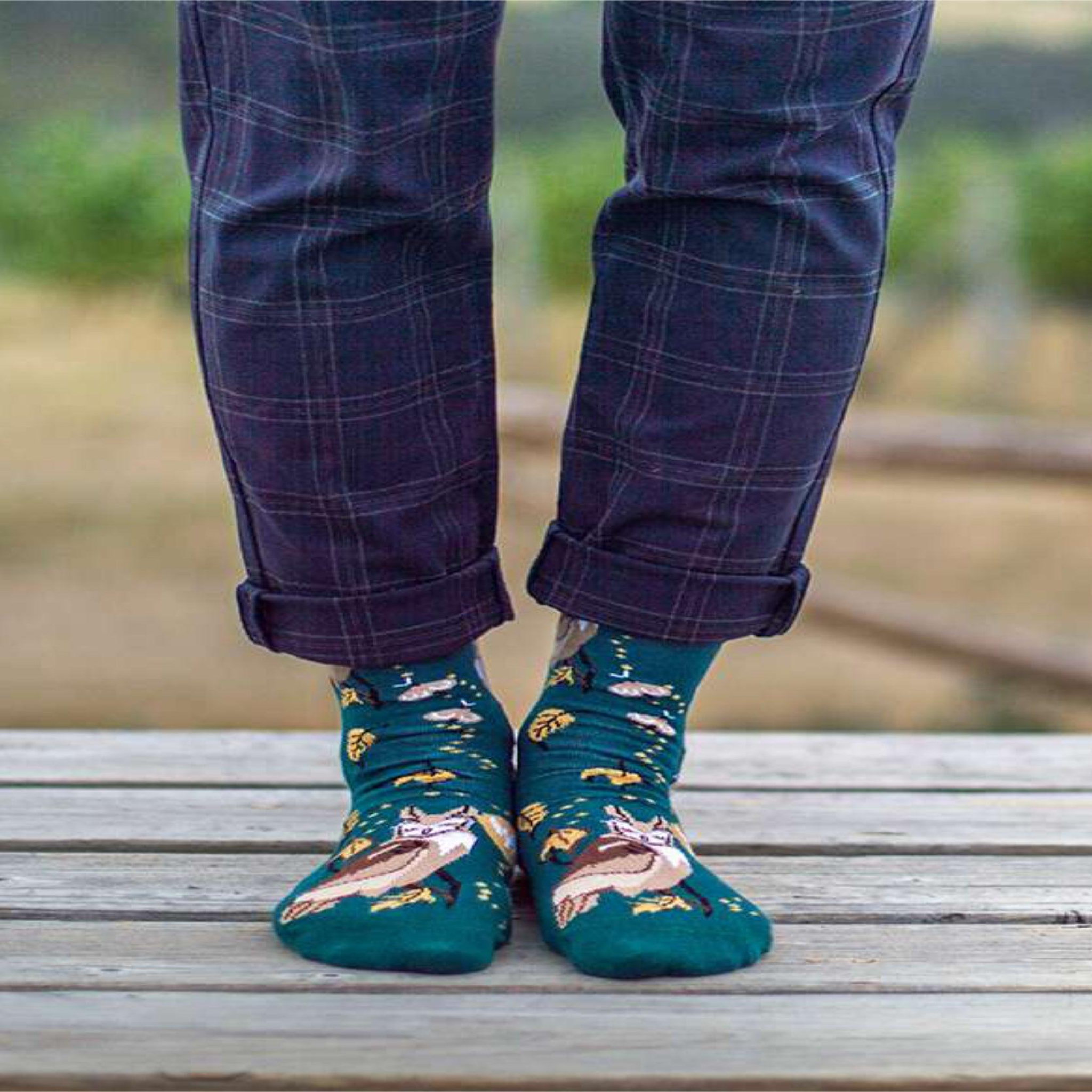 Voir la diapositive 4 : PIRIN HILL Chaussettes coton bio automne chouettes