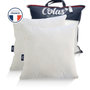 Voir la diapositive 1 : COLAS NORMAND Lot d'oreillers bio moelleux