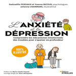 L'ANXIETE ET LA DEPRESSION 100 % ILLUSTRE. COMPRENDRE LES MECANISMES EMOTIONNELS DES TROUBLES POUR S'APAISER EN PROFONDEUR, Persiaux Gwénaëlle