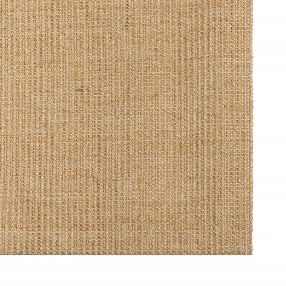 VIDAXL Tapis Sisal naturel 100x300 cm