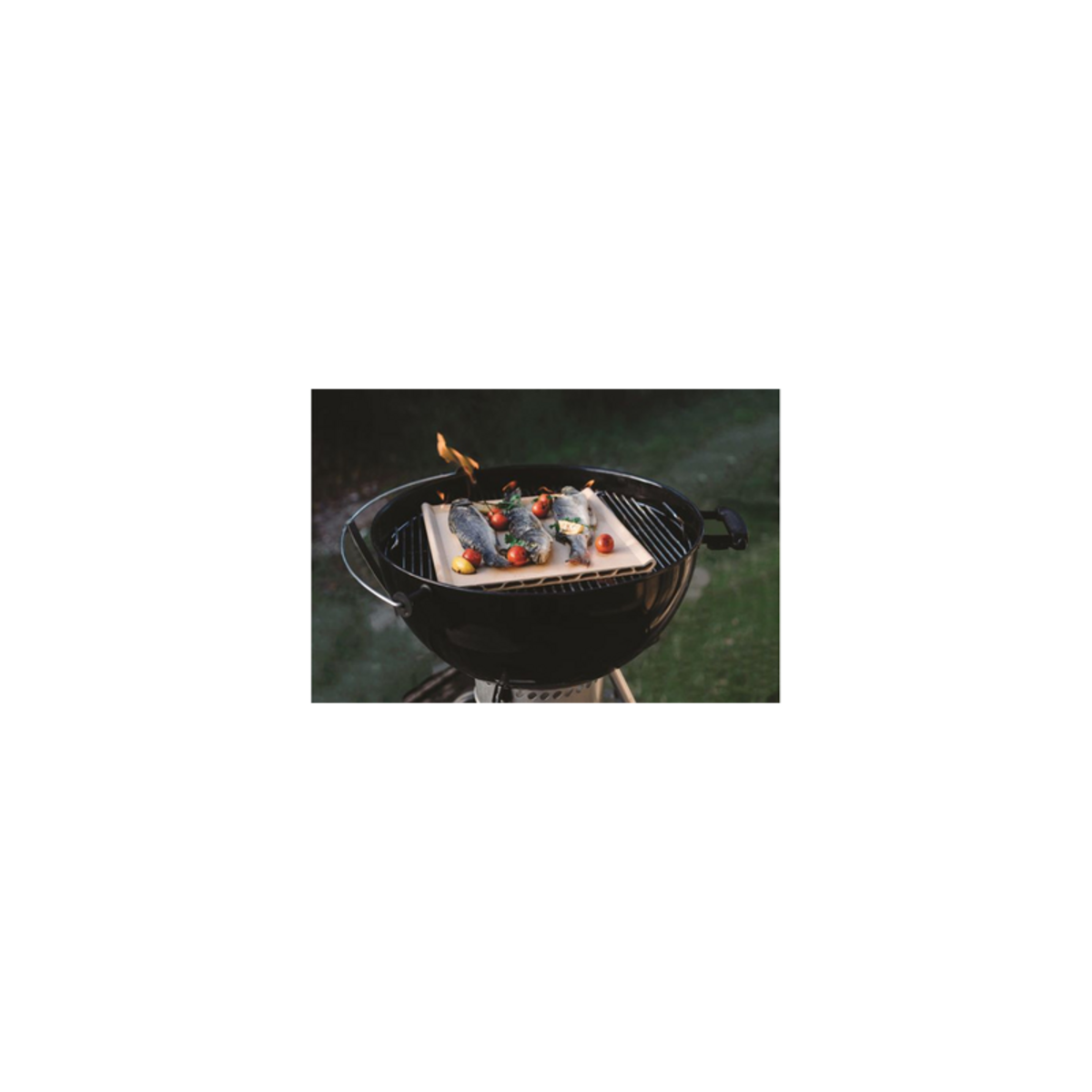 WPRO Pierre à pizza pour four BBQ plaque gaz