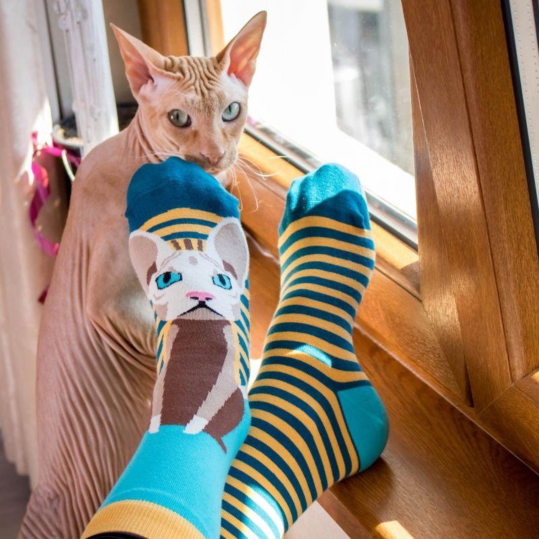 Voir la diapositive 2 : PIRIN HILL Chaussettes arty sphynx le chat
