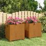 Voir la diapositive 1 : VIDAXL Jardinieres avec pieds 2 pcs Rouille 42x40x43 cm Acier corten