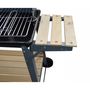 Voir la diapositive 2 : CONCEPT USINE Barbecue mobile au charbon de bois 48 x 28 cm BUFFALO