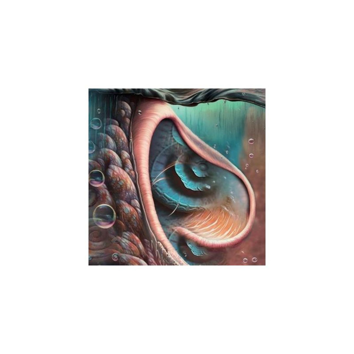 CLEOPATRA Meddle Reimagined A Tribute To Pink Floyd Vinyle Coloré