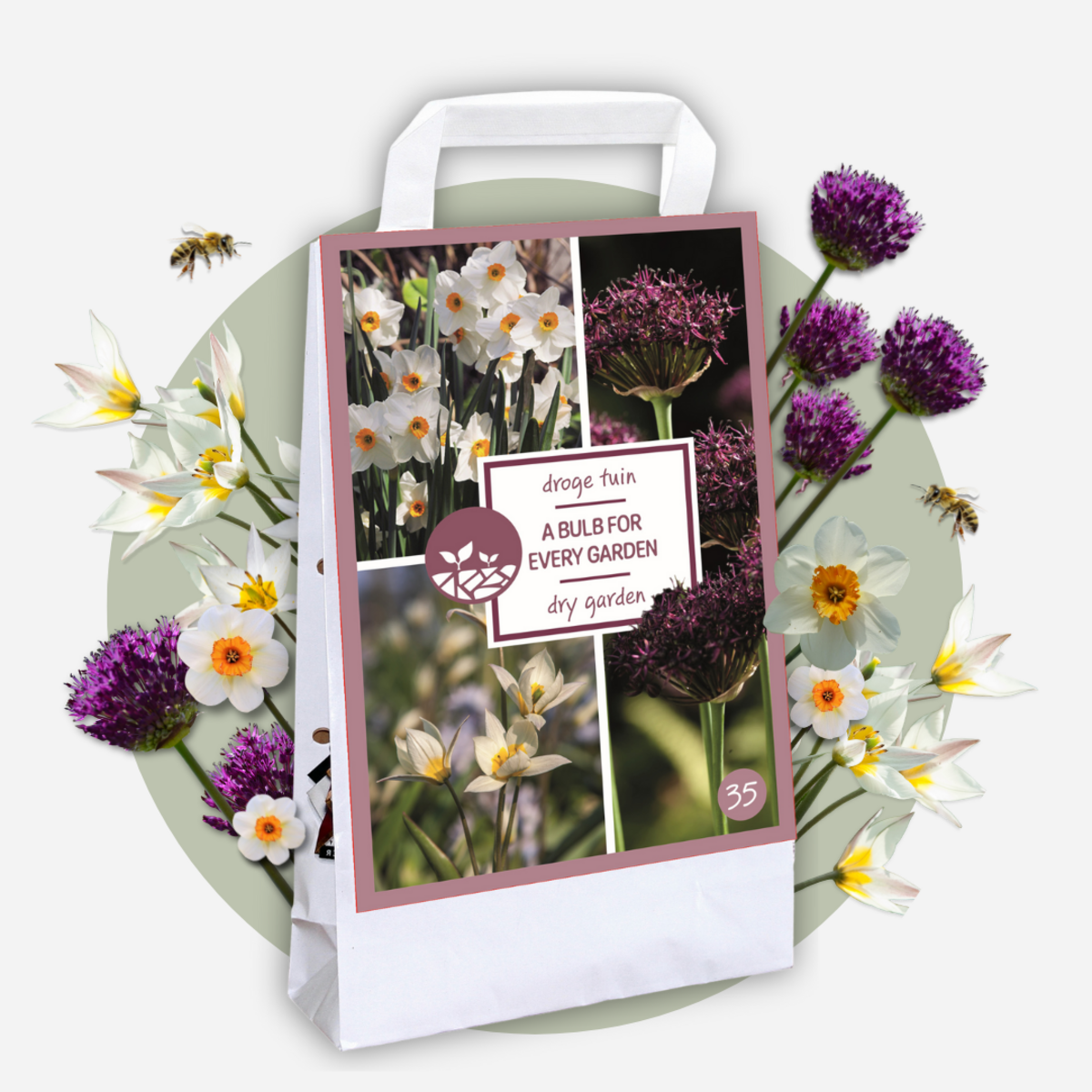 PLANT IN A BOX Coffret Jardin Sec - 35 bulbes pour endroits secs & ensoleillés