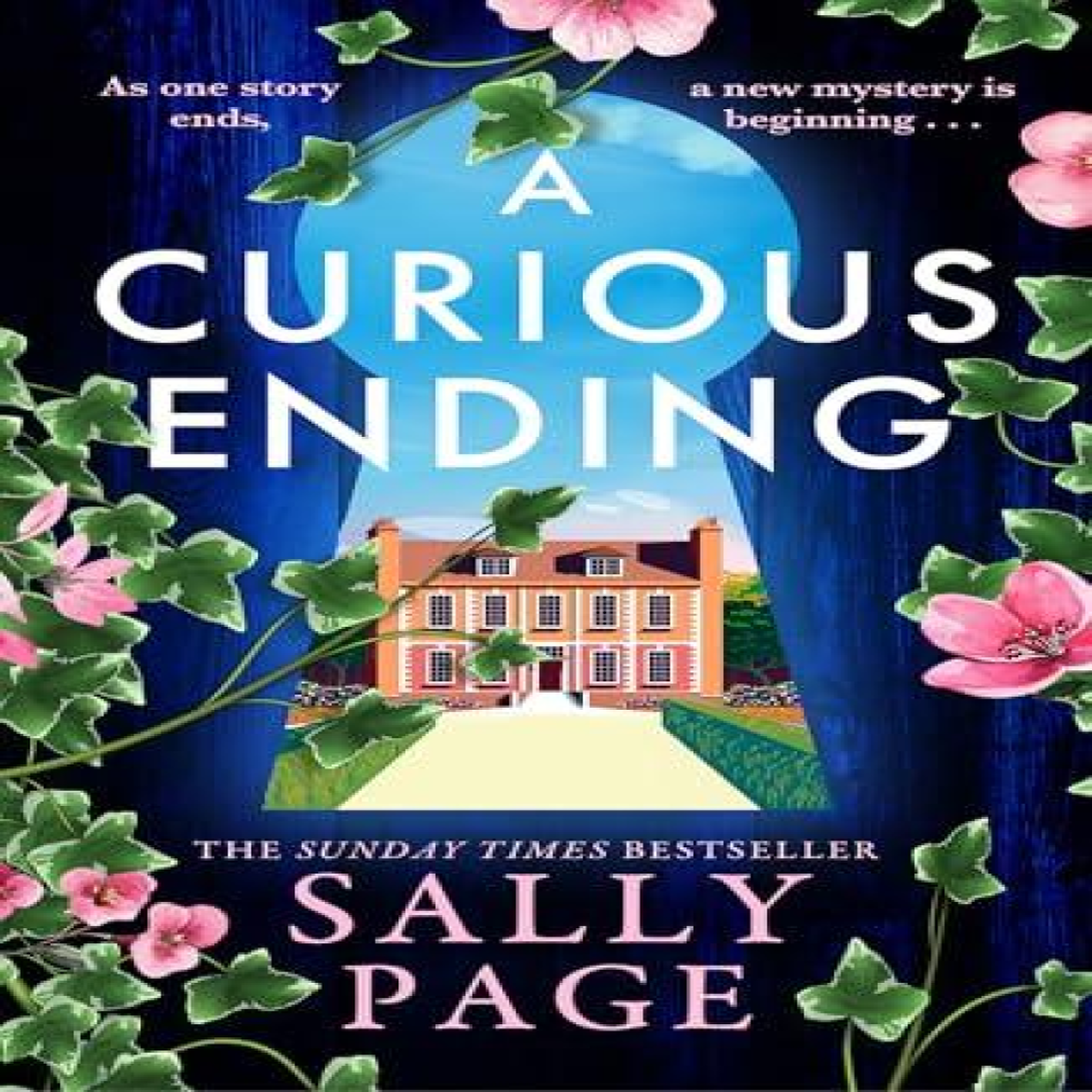 LIVRES CURIOUS ENDING PB - Sally Page