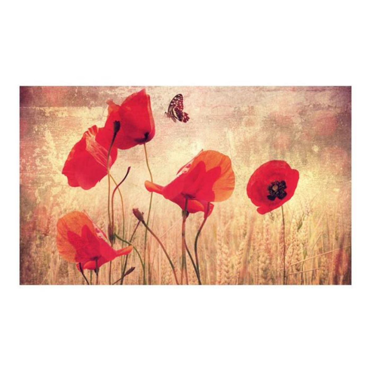 Paris Prix Papier Peint  Summer is Coming  270x450cm