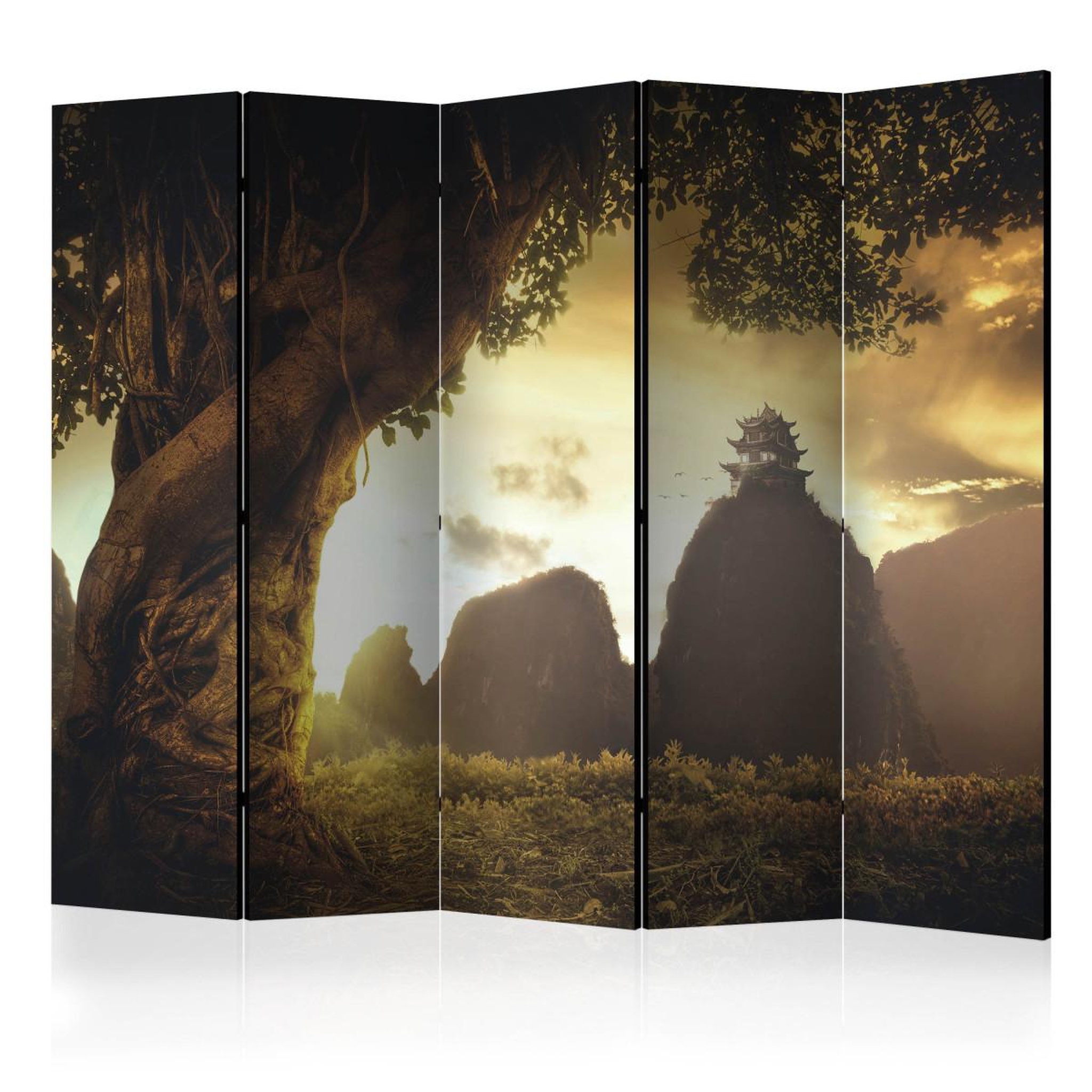 Paris Prix Paravent 5 volets  mysterious china  172x225cm