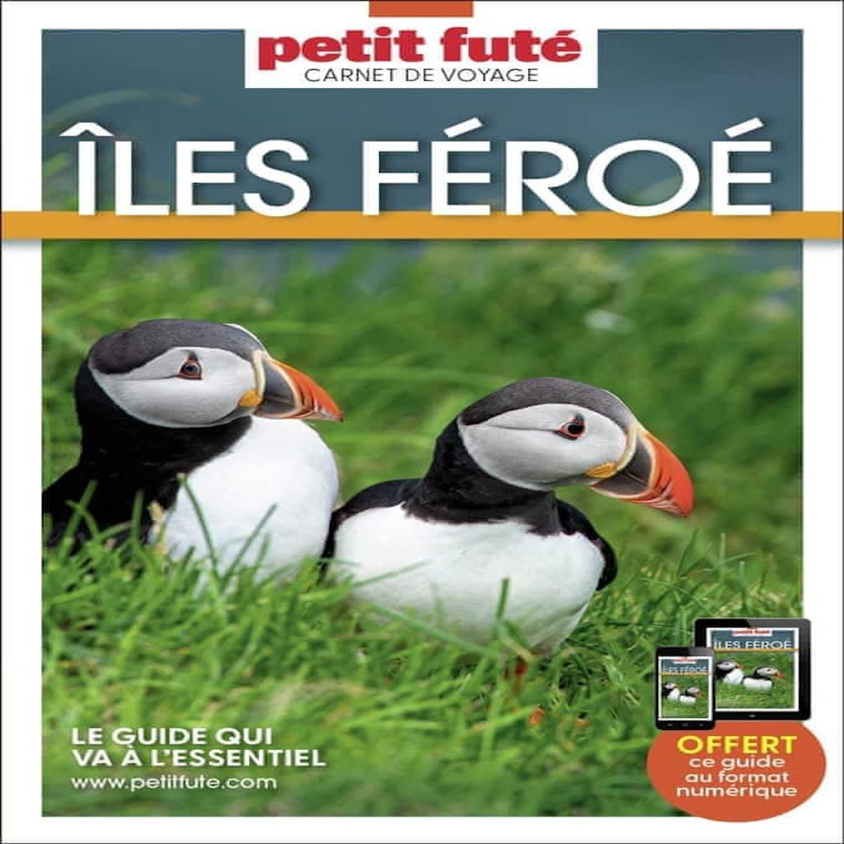 ILES FEROE. EDITION 2026, Petit Futé