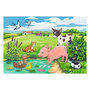 Voir la diapositive 3 : RAVENSBURGER RAVENSBURGER Young animals in the countryside, 2x12st.