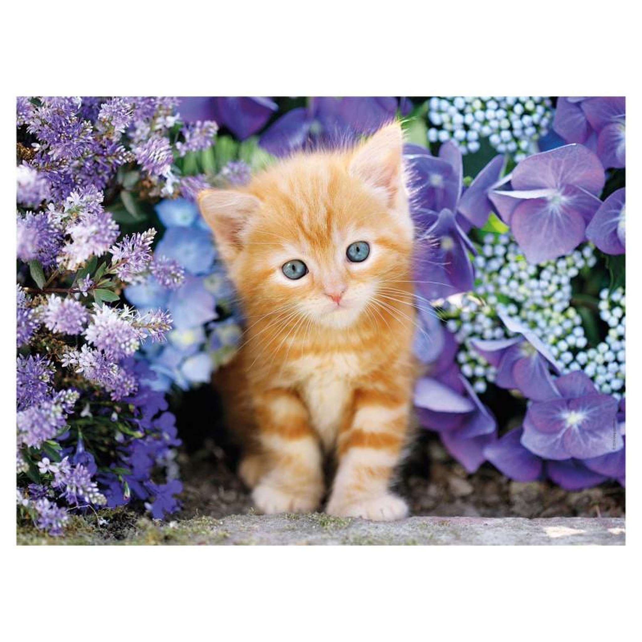 Voir la diapositive 2 : CLEMENTONI Clementoni Puzzle Chat avec fleurs 500 pièces 30415