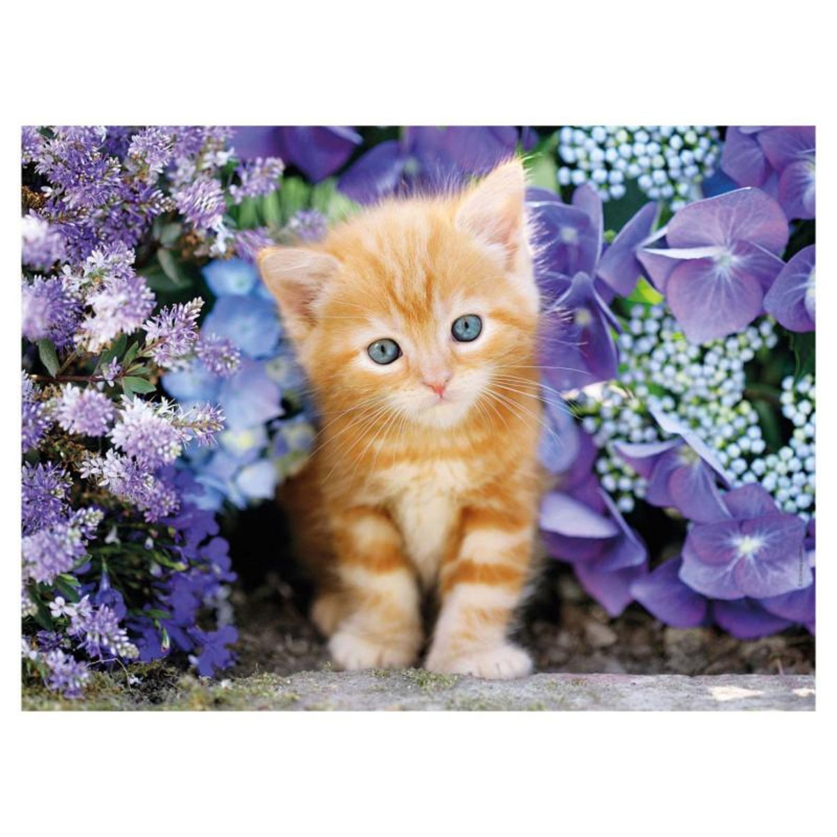 CLEMENTONI Clementoni Puzzle Chat avec fleurs 500 pièces 30415
