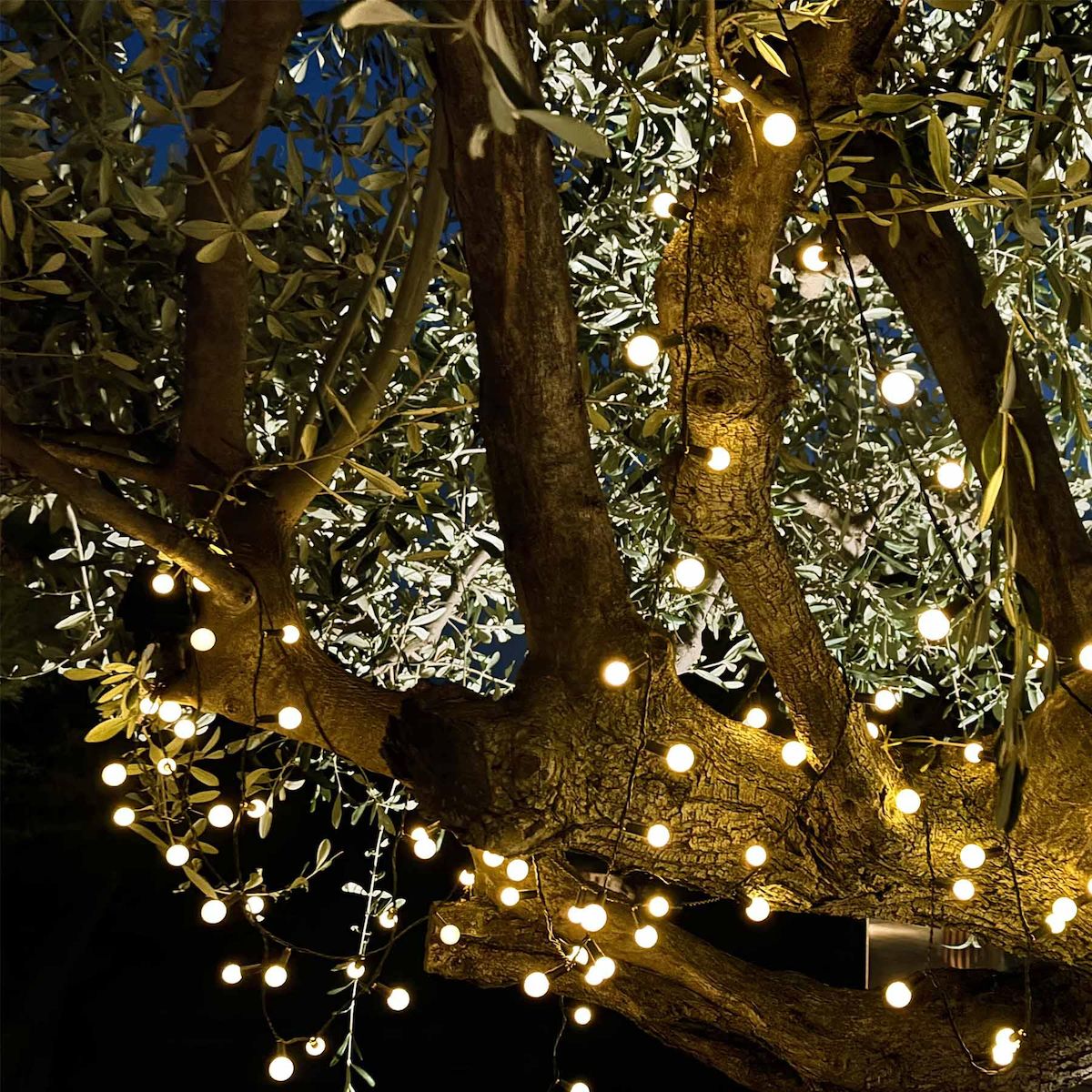 Lumisky Guirlande Solaire BILLY   6.9M