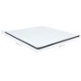 Voir la diapositive 6 : VIDAXL Surmatelas de sommier tapissier 200x180x5 cm