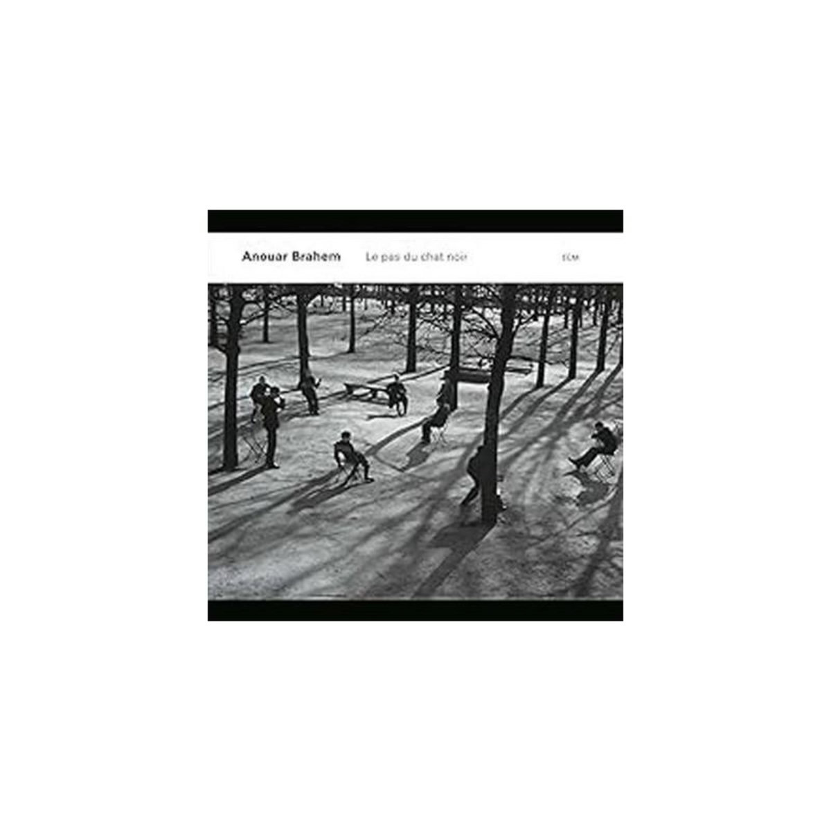 Le pas du chat noir