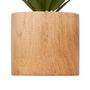 Voir la diapositive 3 : ATMOSPHERA Plante Artificielle en Pot  Sao  17cm Marron