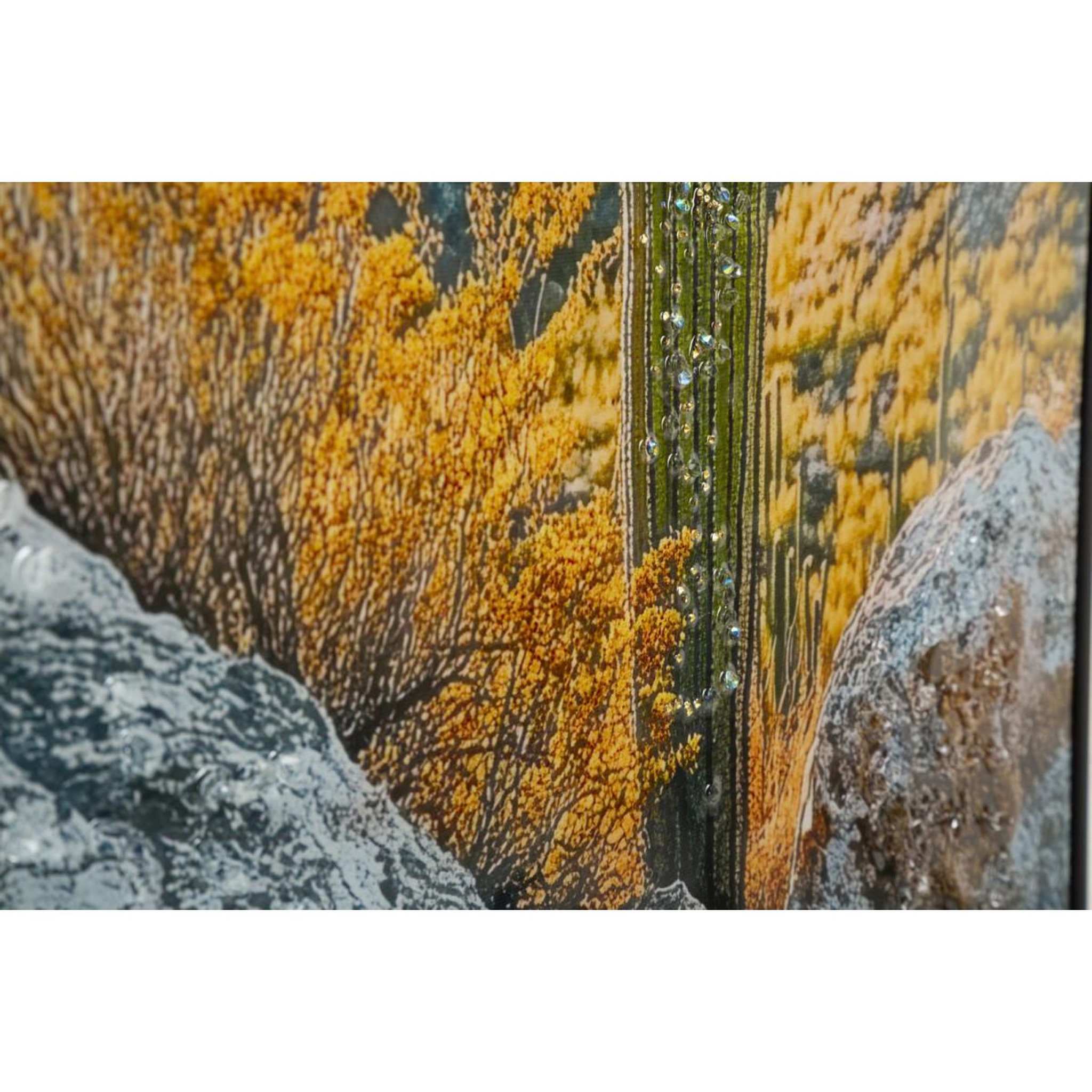 Voir la diapositive 5 : Paris Prix Tableau imprimé  cactus dressé ii  60x90cm multicolore
