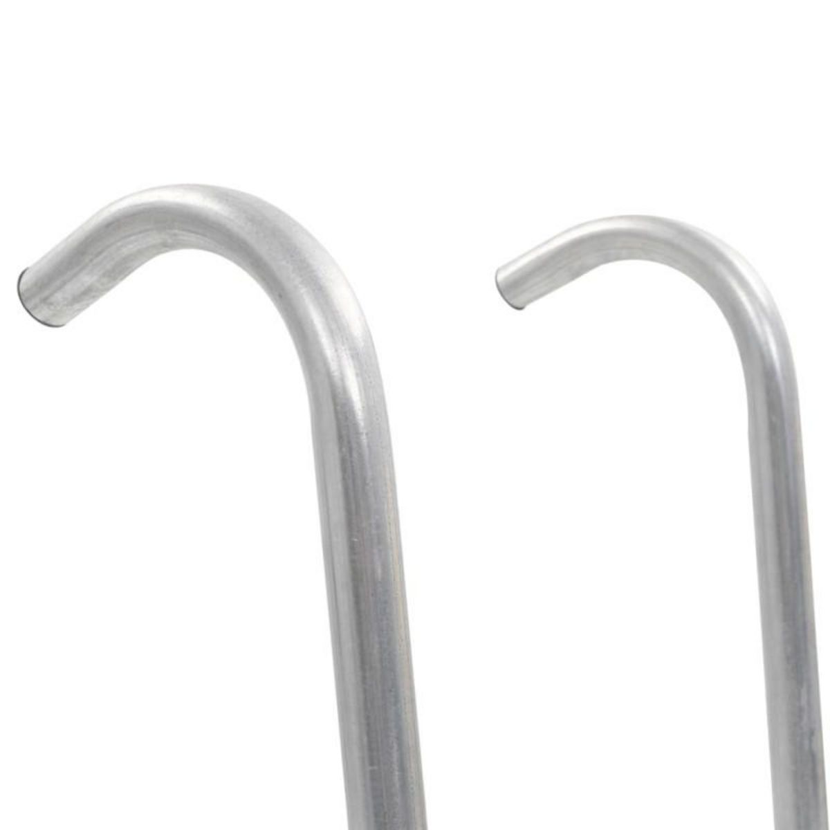 VIDAXL Échelle de trampoline à 2 marches Acier Argenté 102,6 cm