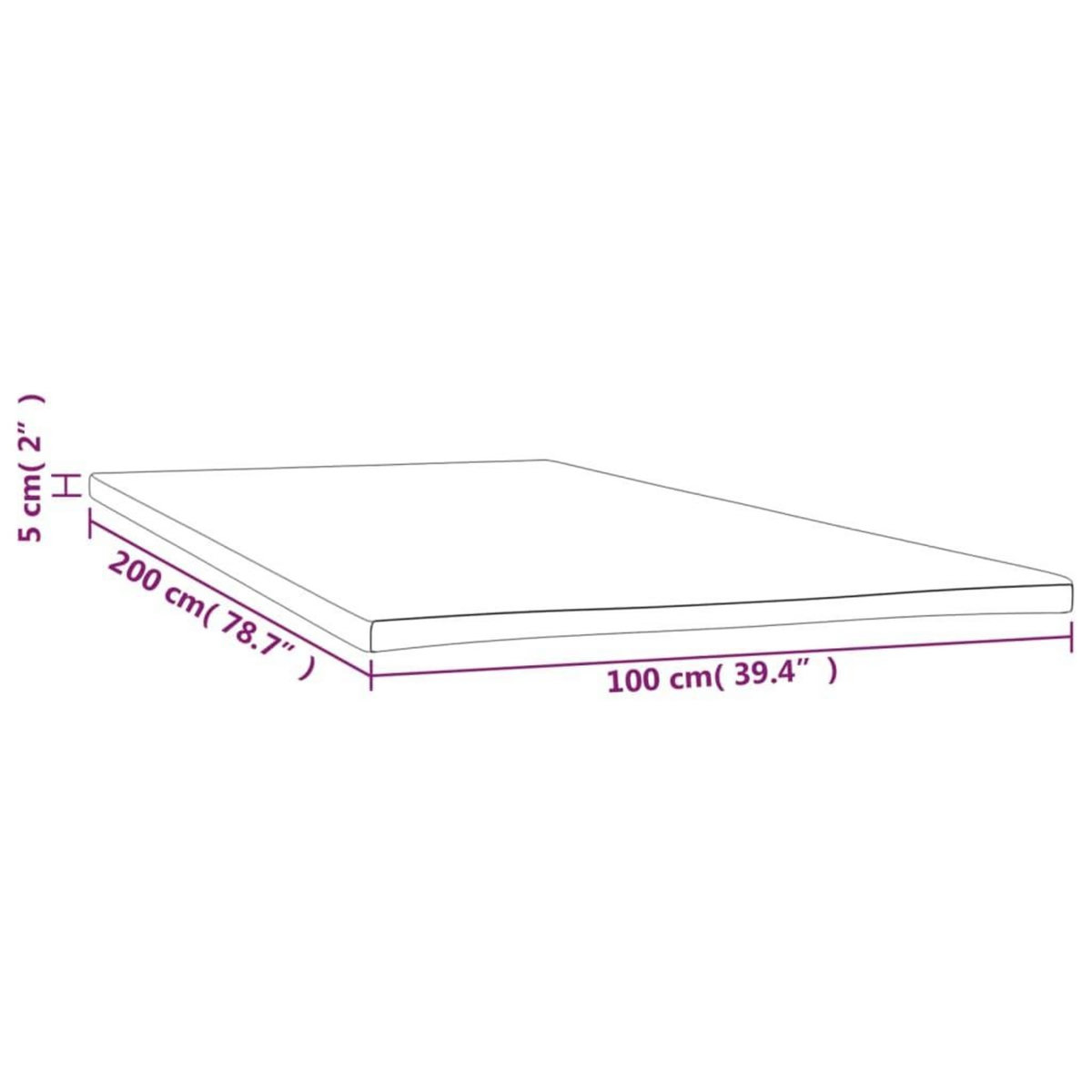VIDAXL Sur-matelas 100x200x5 cm