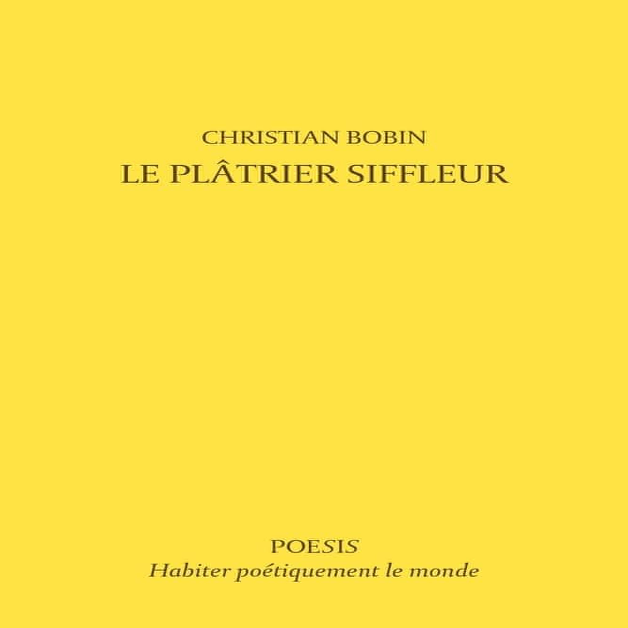 LE PLATRIER SIFFLEUR, Bobin Christian