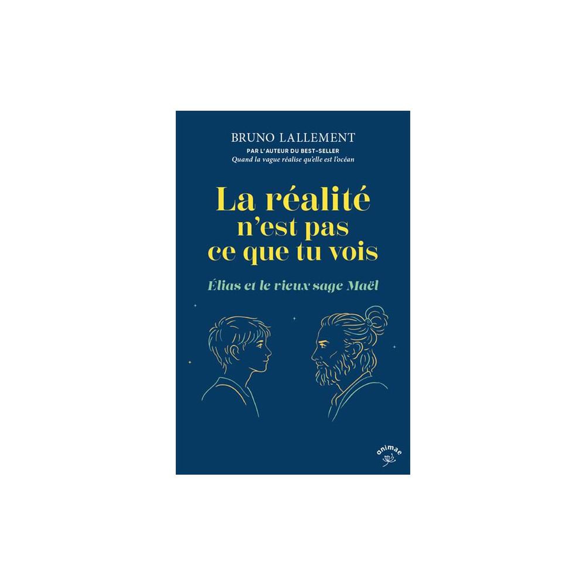 Anima Livre esoterisme grand format « la réalité n'est pas ce que tu vois » : élias et le vieux sage maël