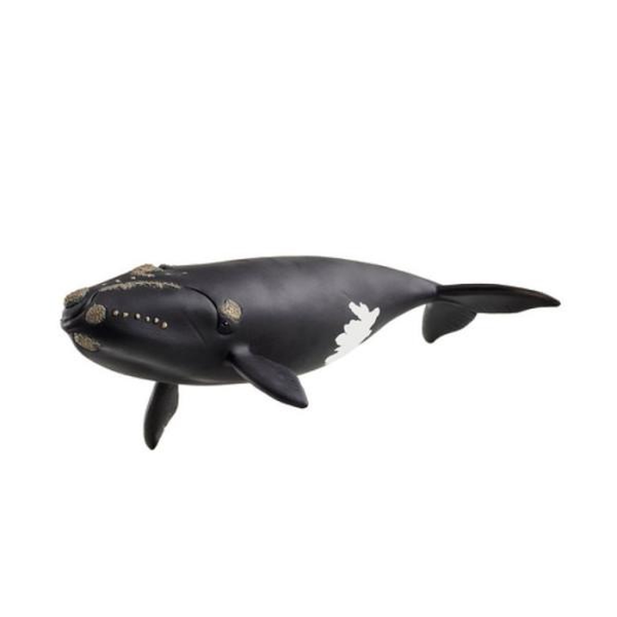 Schleich Figurine Baleine de l'Atlantique, Schleich 14878 Wild Life, des 5 ans