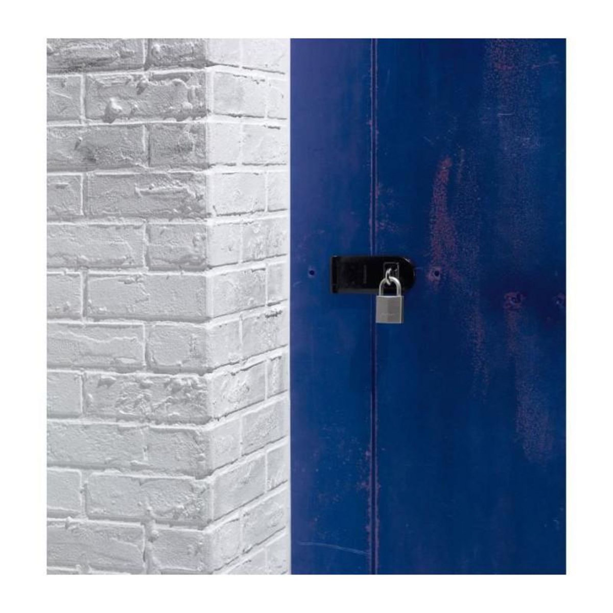 Master lock 1145PEURD Cadenas Marin avec Clé, Gris, 7,1 x 4 x 2,1 cm