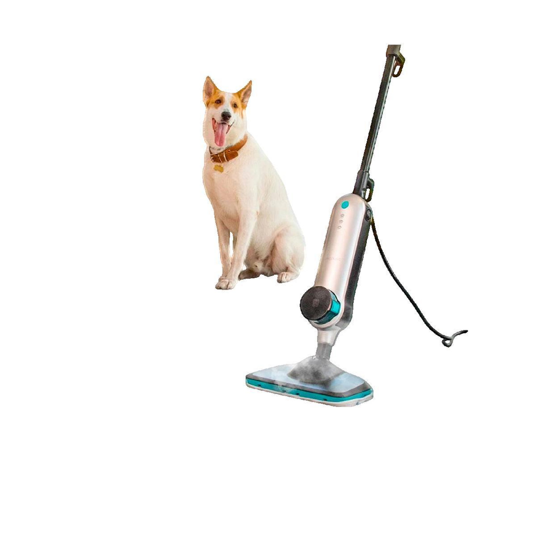Voir la diapositive 3 : CECOTEC Nettoyeur vapeur Cecotec HydroSteam 3030 Active