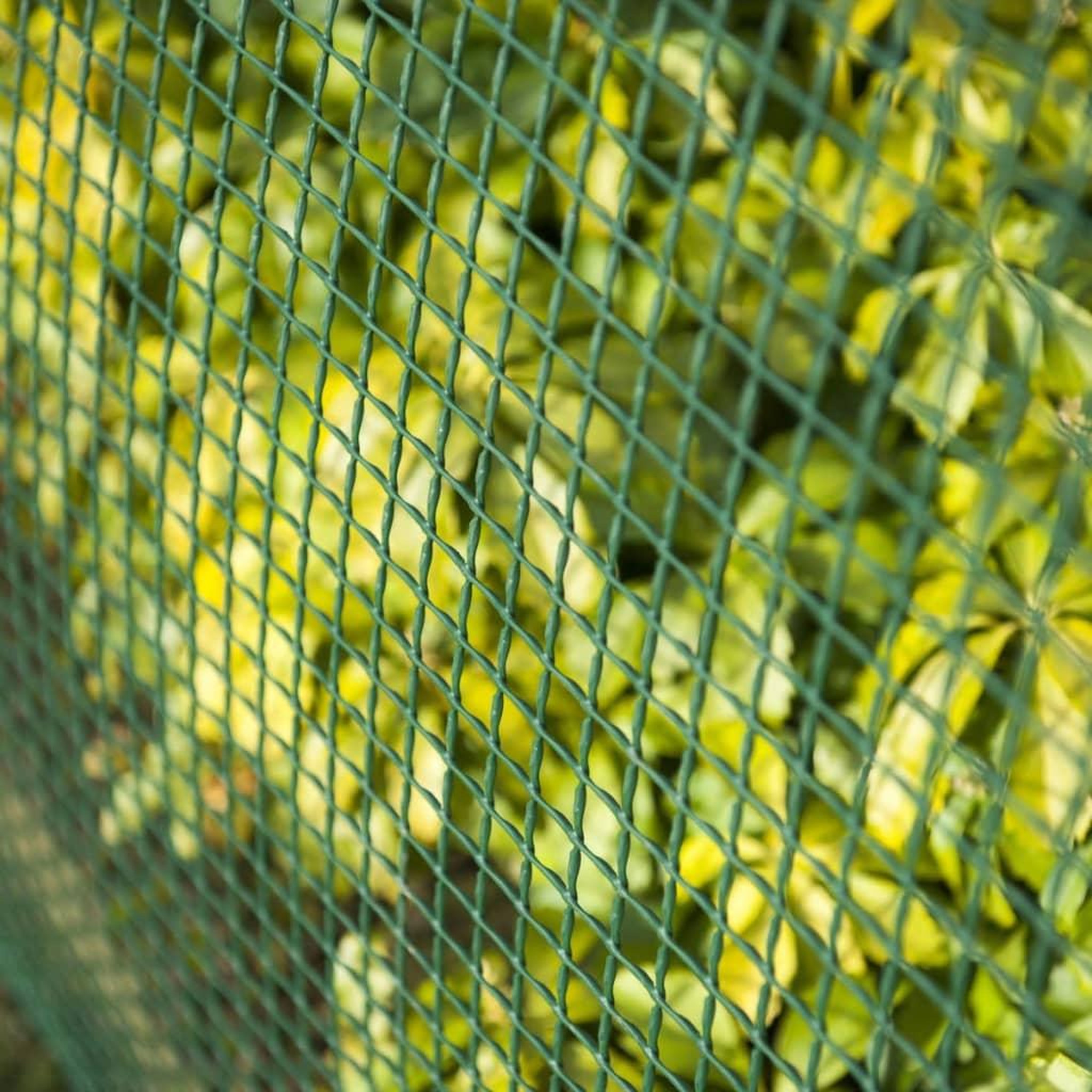 Voir la diapositive 4 : NATURE Nature Brise-vue en maille carre 5x5 mm 1x3 m Vert