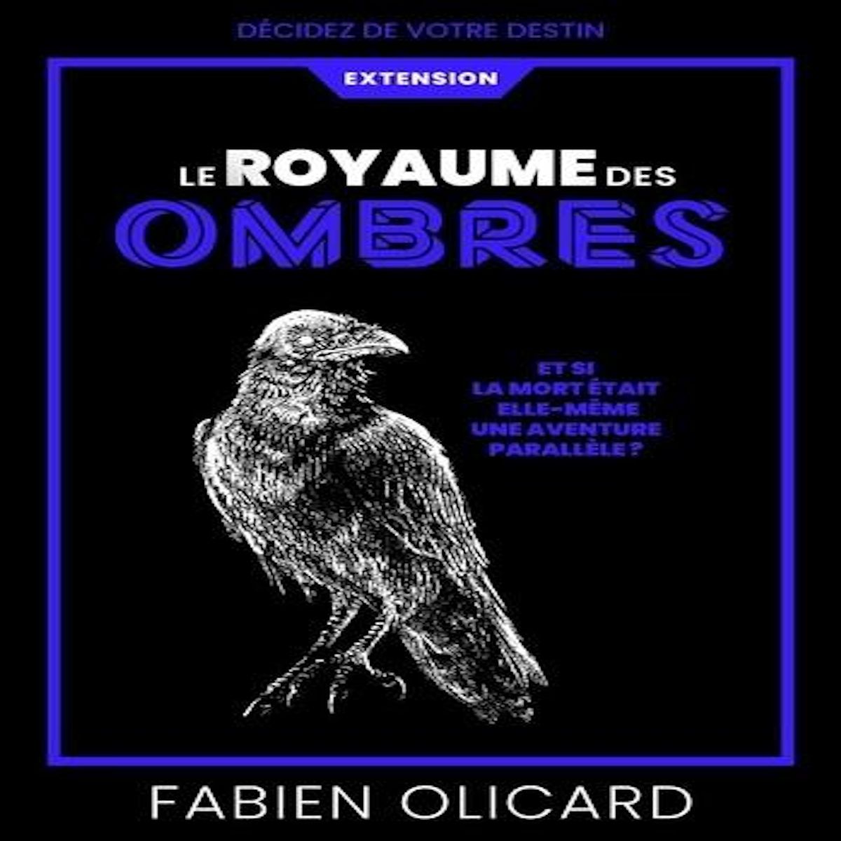 SAGA DE DAGDA : LE ROYAUME DES OMBRES. EXTENSION, Olicard Fabien