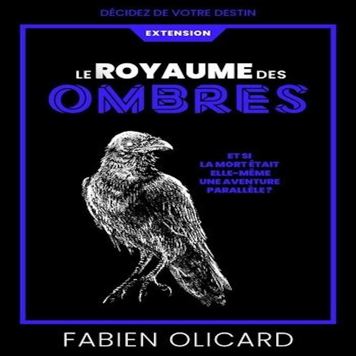 SAGA DE DAGDA : LE ROYAUME DES OMBRES. EXTENSION, Olicard Fabien
