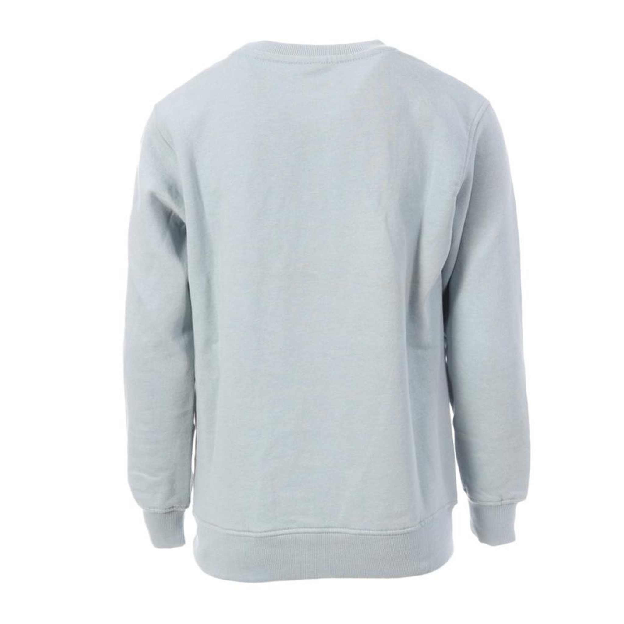 Voir la diapositive 2 : REDSKINS Sweat Bleu Ciel Garçon Redskins 4043
