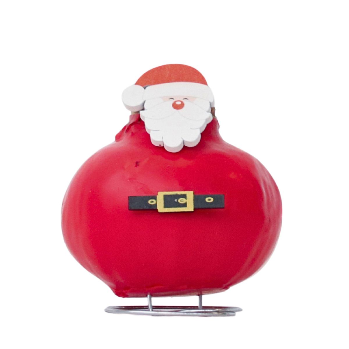 PLANT IN A BOX Amaryllis - Hippeastrum 'Spécial Cire Père Noël'