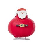 PLANT IN A BOX Amaryllis - Hippeastrum 'Spécial Cire Père Noël'