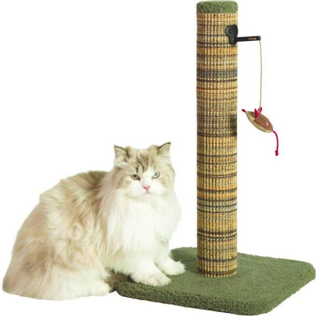 Zolux Poteau griffoir chat - ZOLUX - Sisal - Avec jouet suspendu - 60 cm - Boréal - Vert