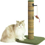 Zolux Poteau griffoir chat - ZOLUX - Sisal - Avec jouet suspendu - 60 cm - Boréal - Vert