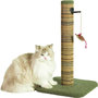 Voir la diapositive 1 : Zolux Poteau griffoir chat - ZOLUX - Sisal - Avec jouet suspendu - 60 cm - Boréal - Vert