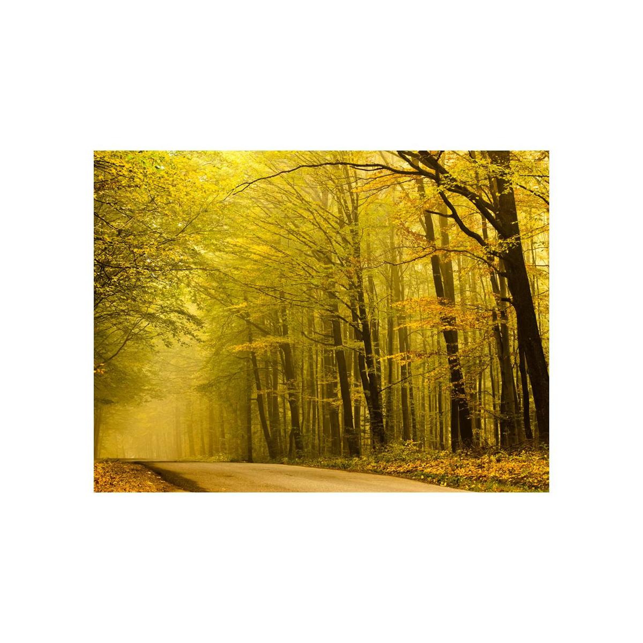 Voir la diapositive 2 : Paris Prix Papier peint  route dans la forêt d'automne