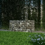 VIDAXL Panier de gabion Acier galvanise 100x50x50 cm