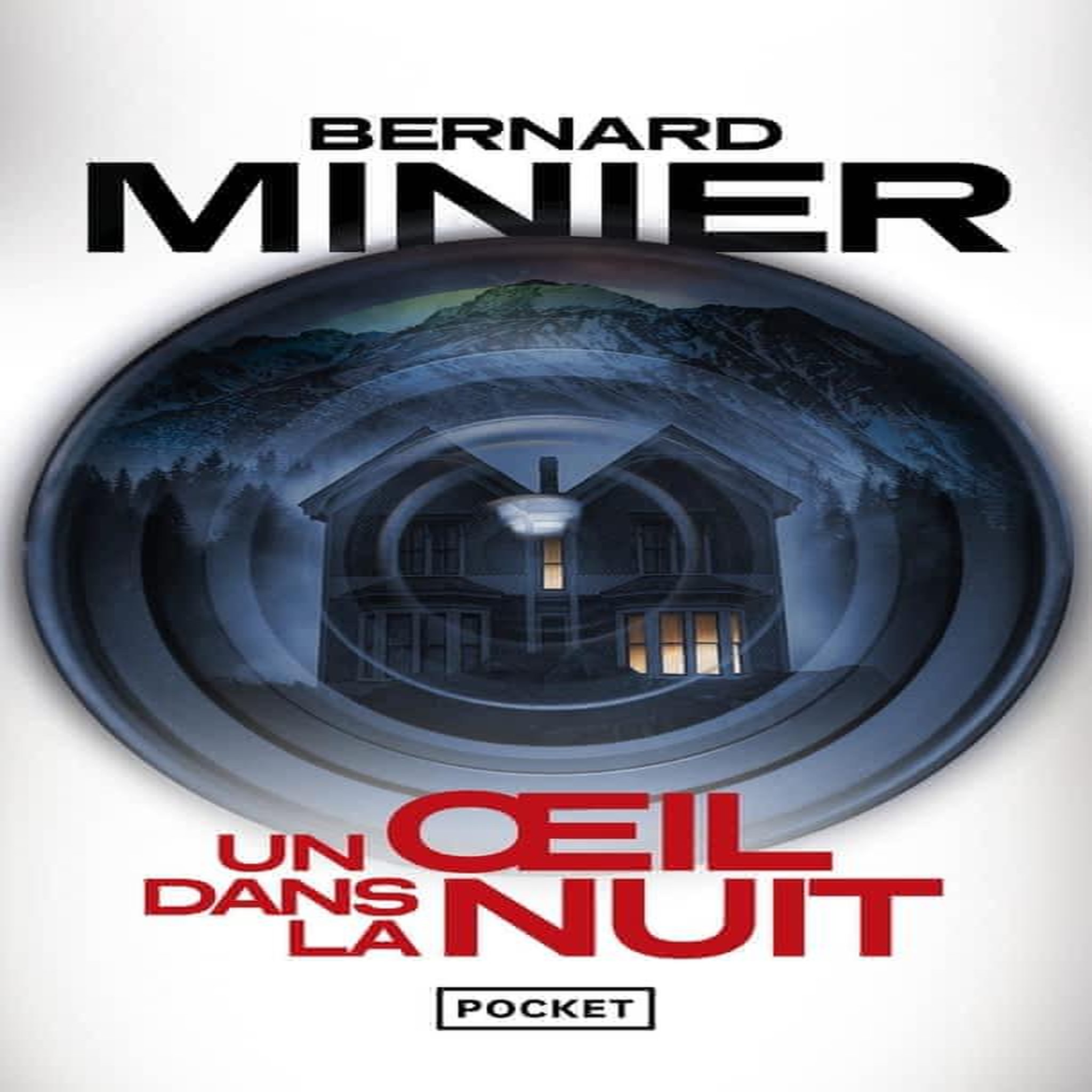 UN OEIL DANS LA NUIT, Minier Bernard