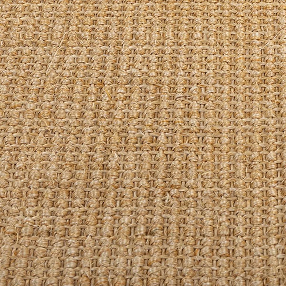 VIDAXL Tapis Sisal naturel 100x150 cm