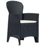 Voir la diapositive 2 : VIDAXL Chaises de jardin lot de 2 avec coussin Anthracite Plastique