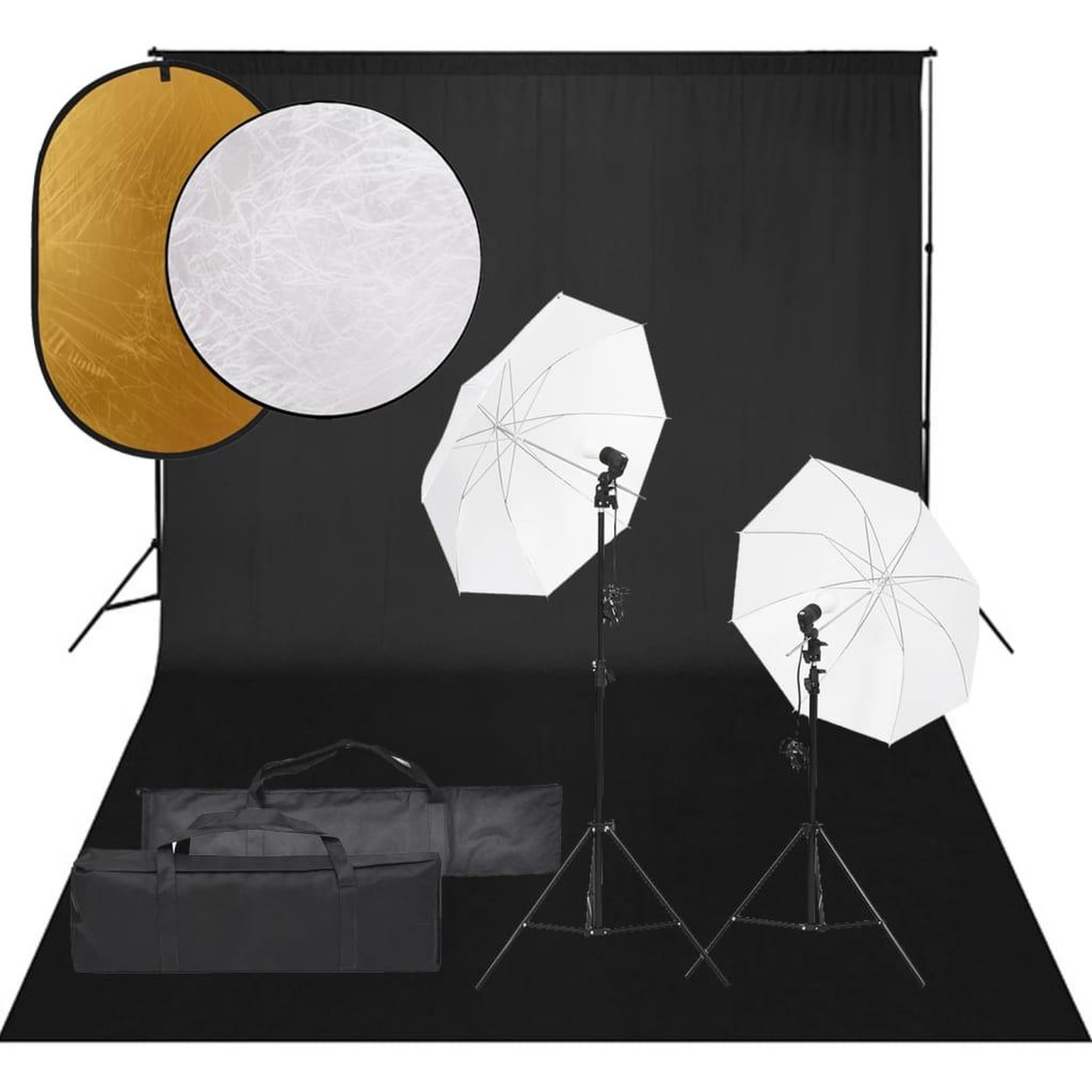 VIDAXL Kit de studio photo avec eclairage toile de fond et reflecteur