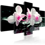 Paris Prix Tableau Imprimé  Rest of Orchids. Coloris disponibles : Multicolore