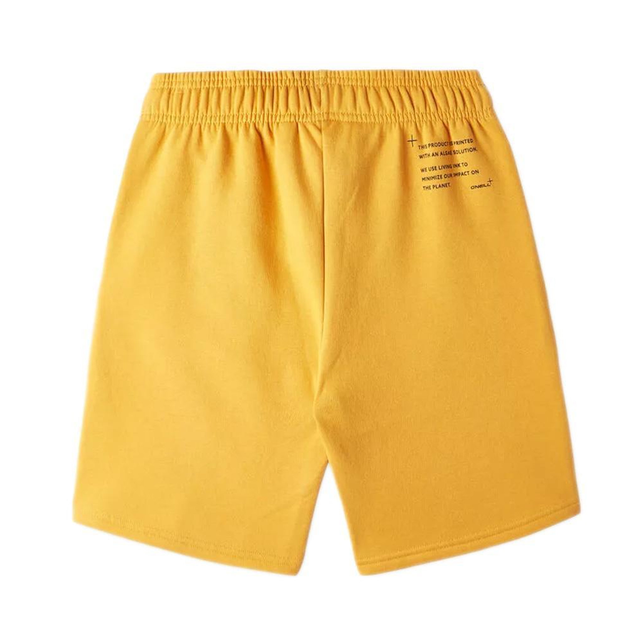 Voir la diapositive 2 : O'NEILL Short Orange Garçon O'Neill Future