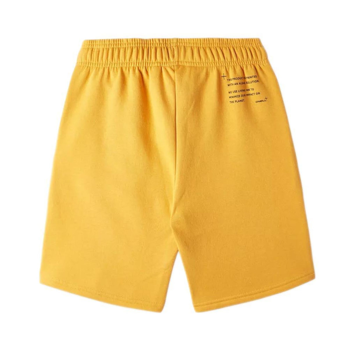 O'NEILL Short Orange Garçon O'Neill Future