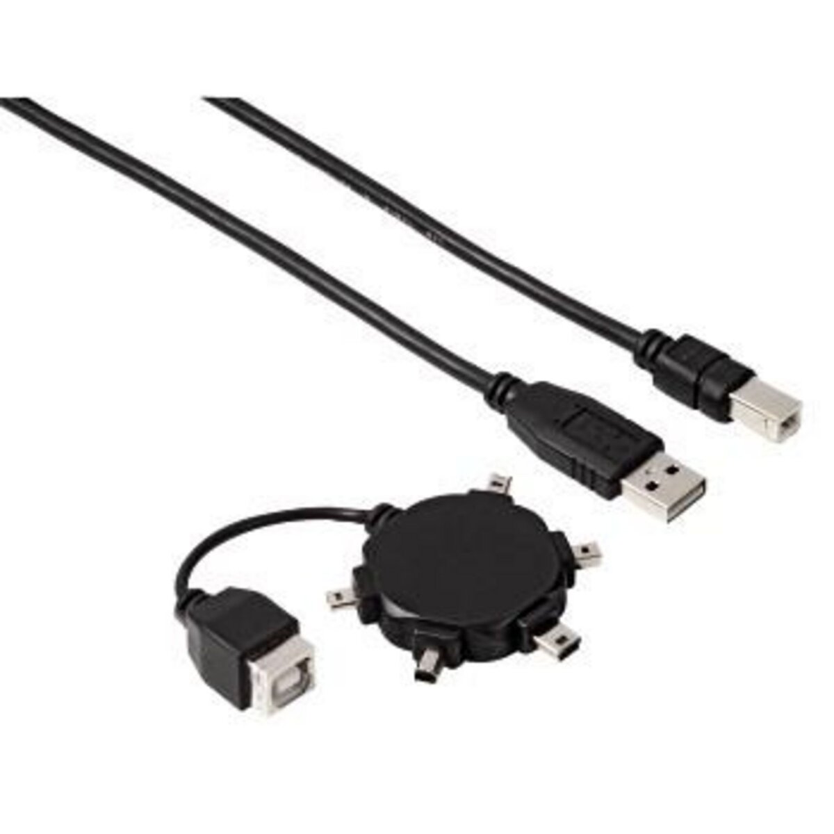 QiLive Câble mini USB Universel