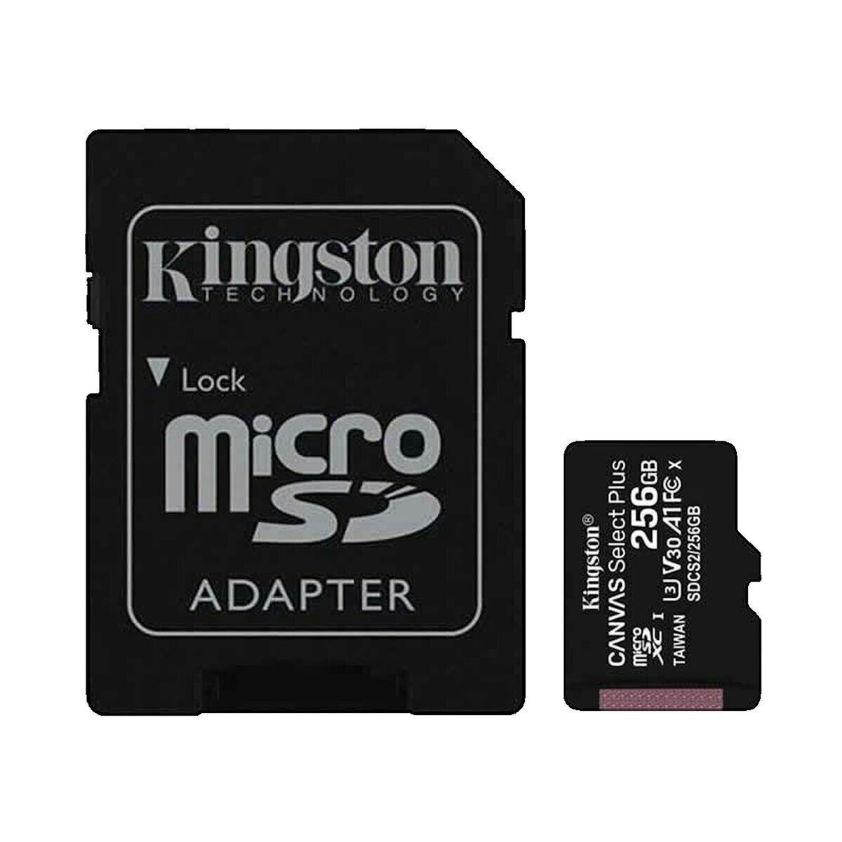 Kingston Carte mémoire Kingston Canvas Select Plus 256 Go noire